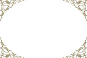 ornament (2)